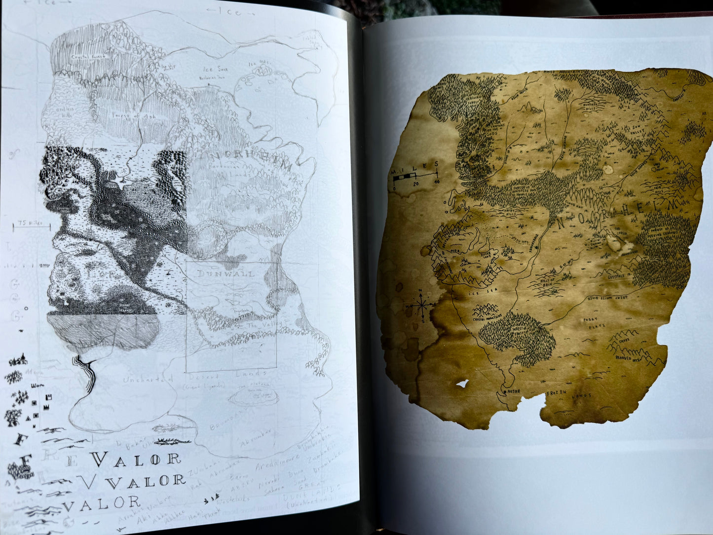 Dungeons, Maps, Drawings and other Secret Arcana, Stefan Pokorny - SIGNED